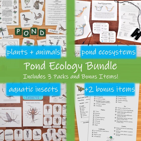 pond ecology bundle indoor and outdoor science activities for etsy