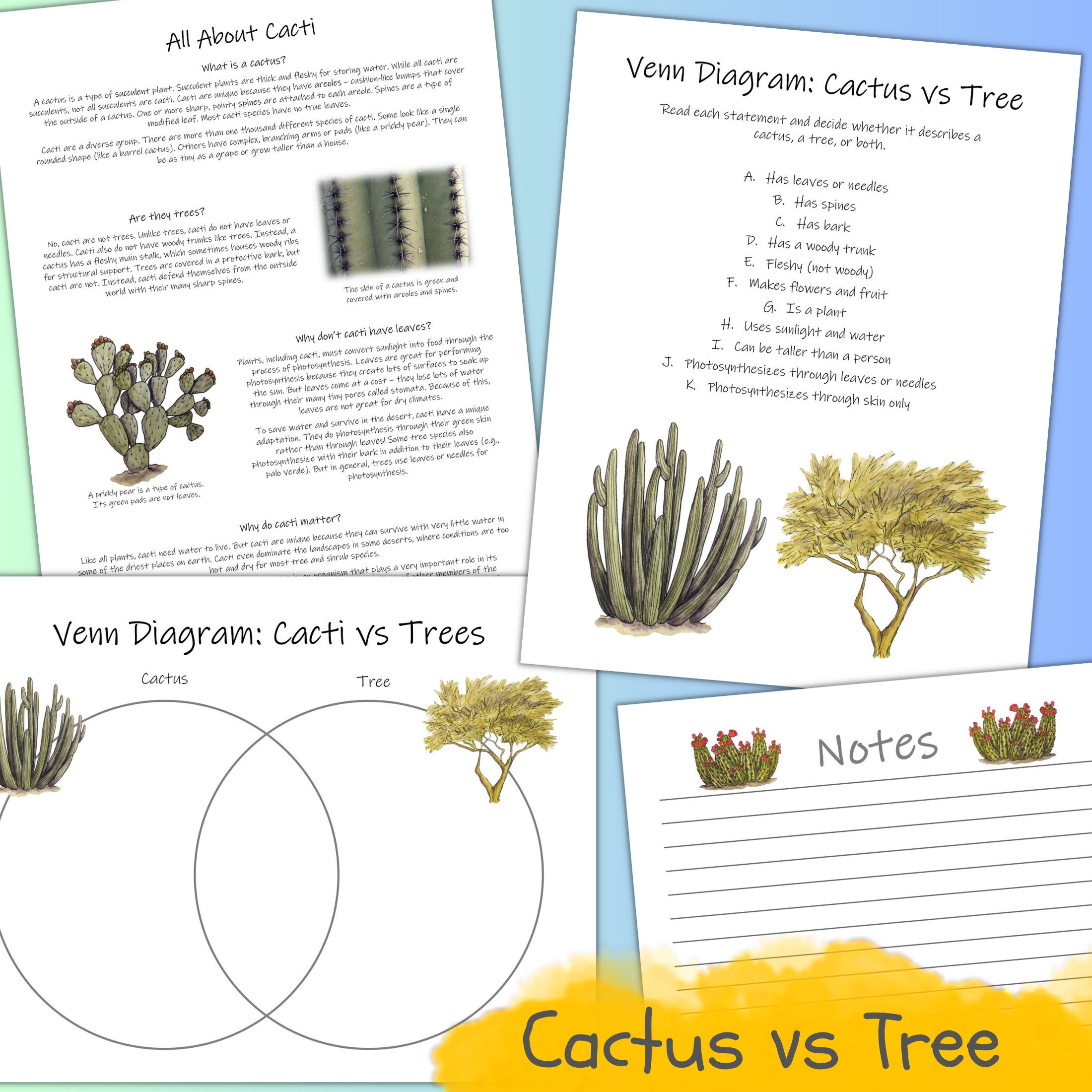 Adaptation Of Cactus Tree
