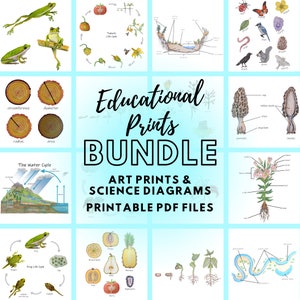 Educational Prints Bundle: over 70 nature & science classroom posters!  homeschool decor, science camp, nature study, forest school