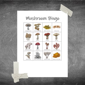 May include: Mushroom Bingo card with illustrations of different types of mushrooms, including shaggy parasol, honey mushrooms, jack o'lantern, turkey tails, chanterelles, bolete, matsutake, milk cap, field mushrooms, amanita, common brackets, coral mushrooms, oyster mushrooms, oyster mushrooms, chicken of the woods, and chanterelles.