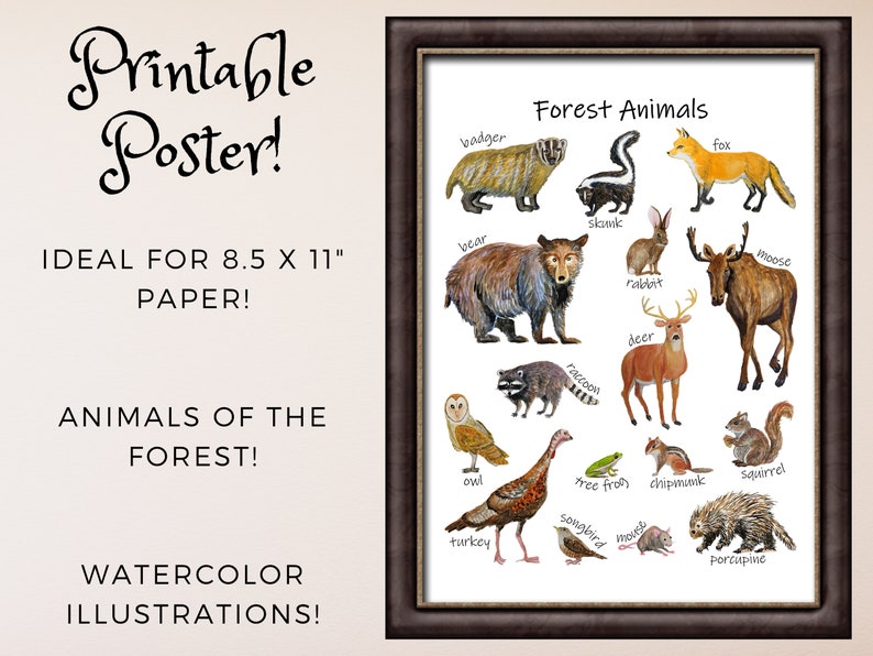 Watercolor Forest Animals Poster Woodland Creatures Nursery Etsy