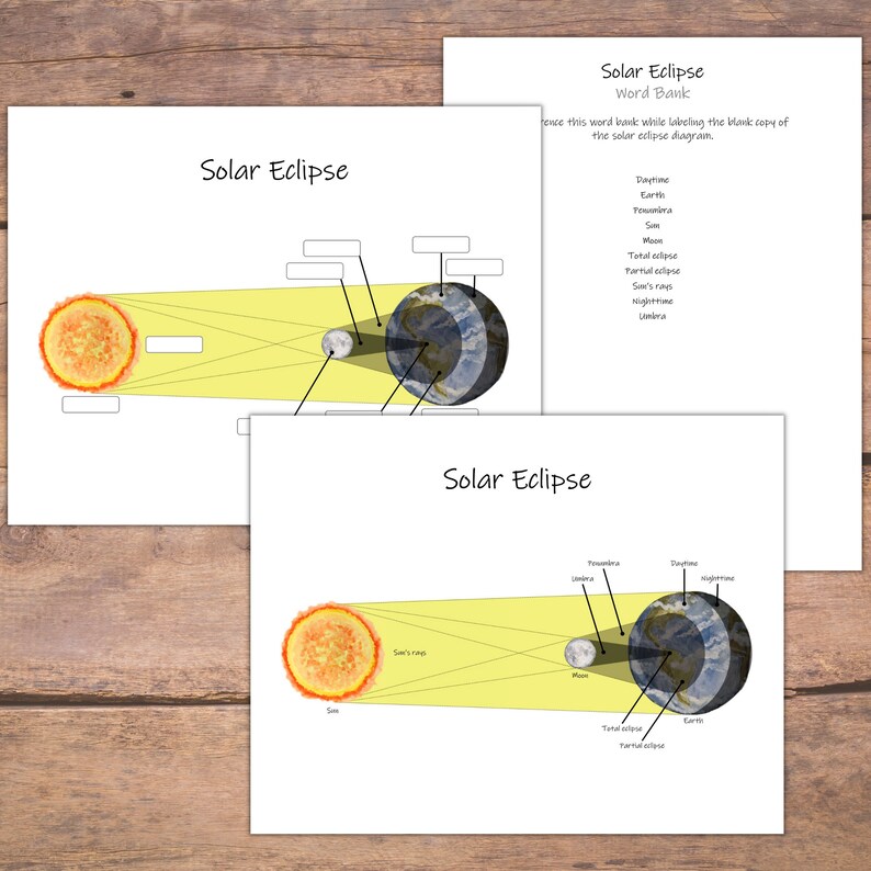 Solar Eclipse Study: mini unit study set with worksheets, activities, and posters Astronomy for kids, science curriculum, homeschool lesson image 2