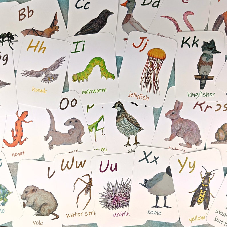 Large Alphabet Flashcards Laminated ABC Flashcards for Etsy