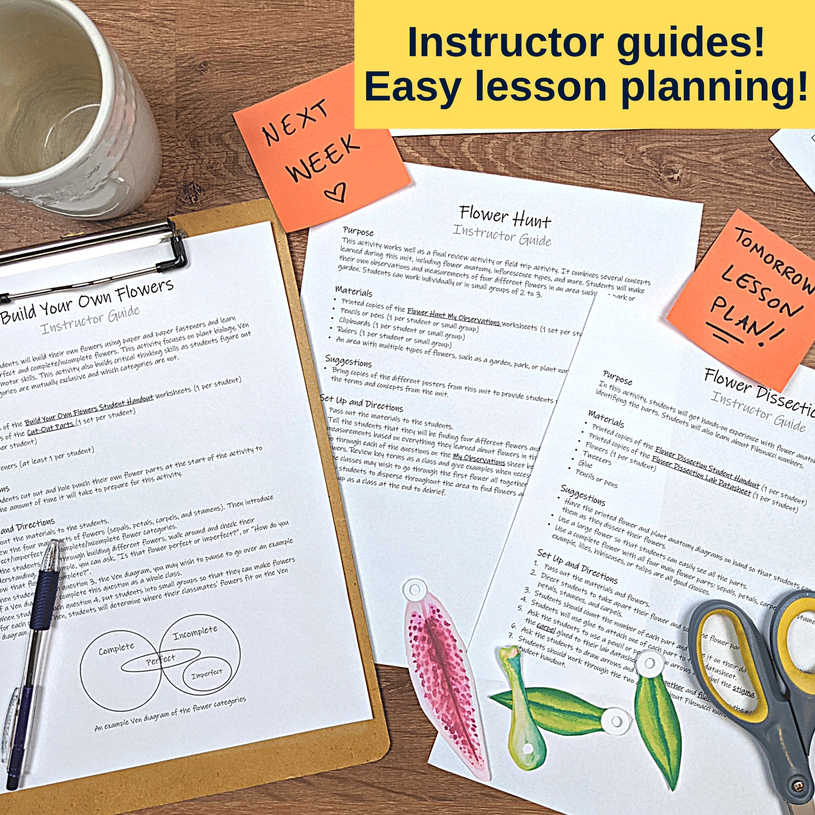 Flower Unit Botany Unit Study Materials Garden Flowers Etsy