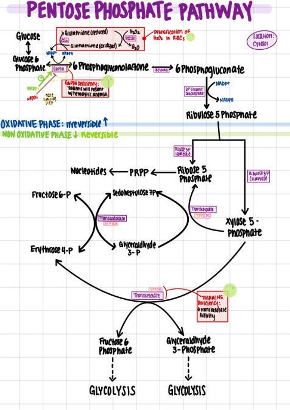 glutathione mcat Glutathione, Tylenol, and Vaccines: What Parents Need to Know main image 0