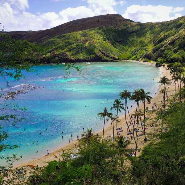 Plage hawaïenne, baie de Hanauma, O'ahu, Hawaï