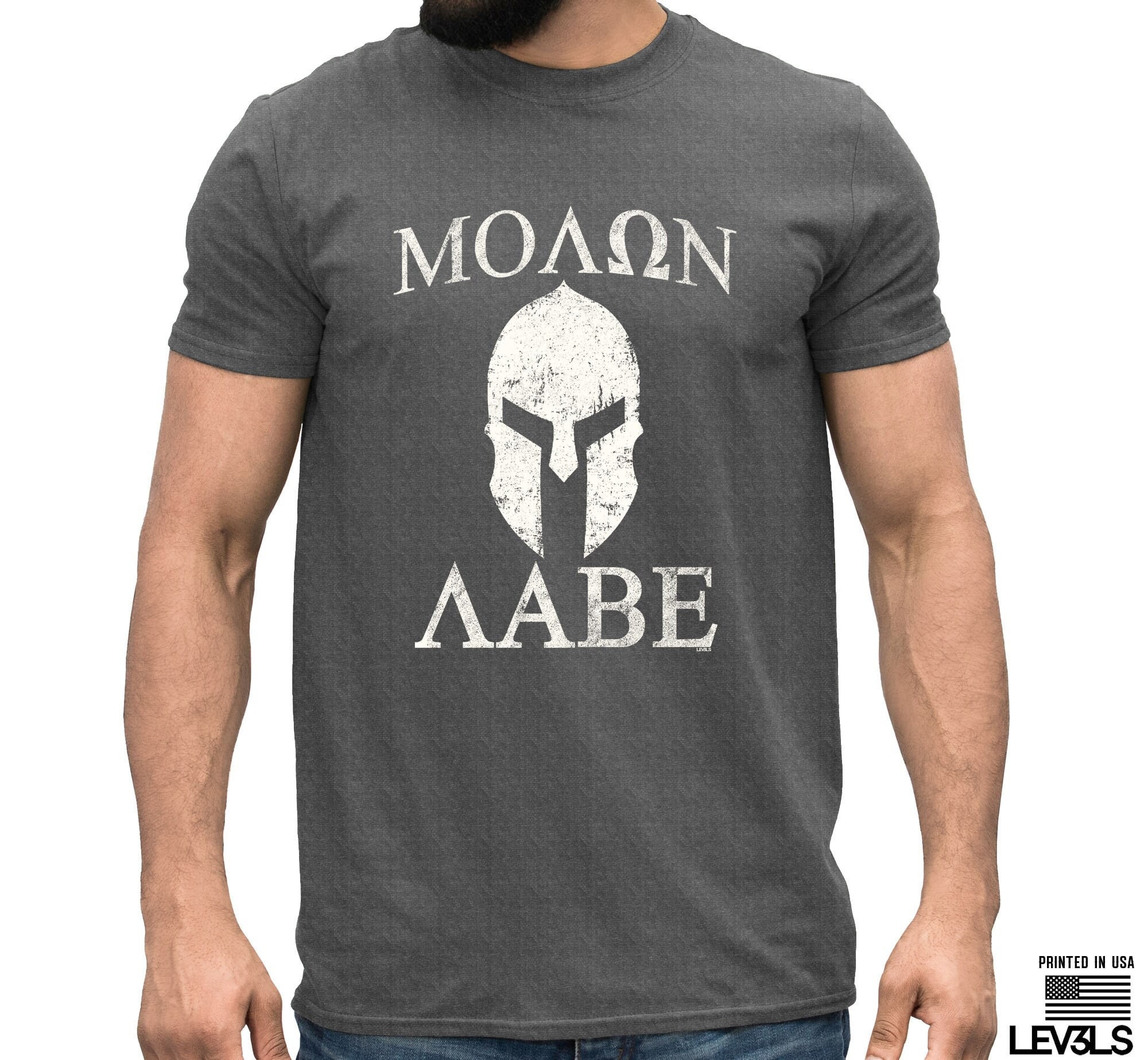 Casque spartiate Venez les prendre T Shirt Molon Labe 2ème amendement