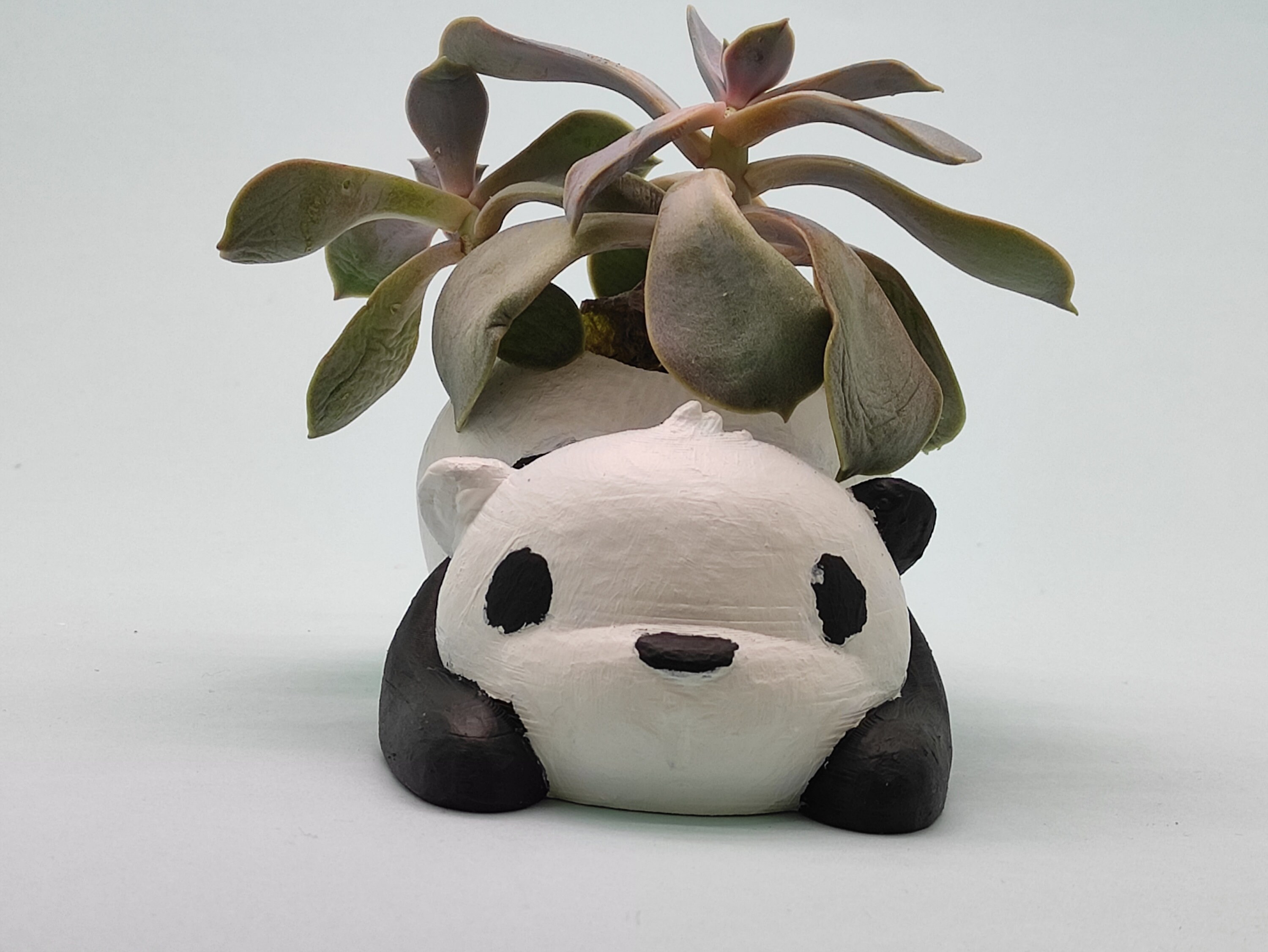 Decorative panda flowerpot / white cycad flower pot planter Etsy