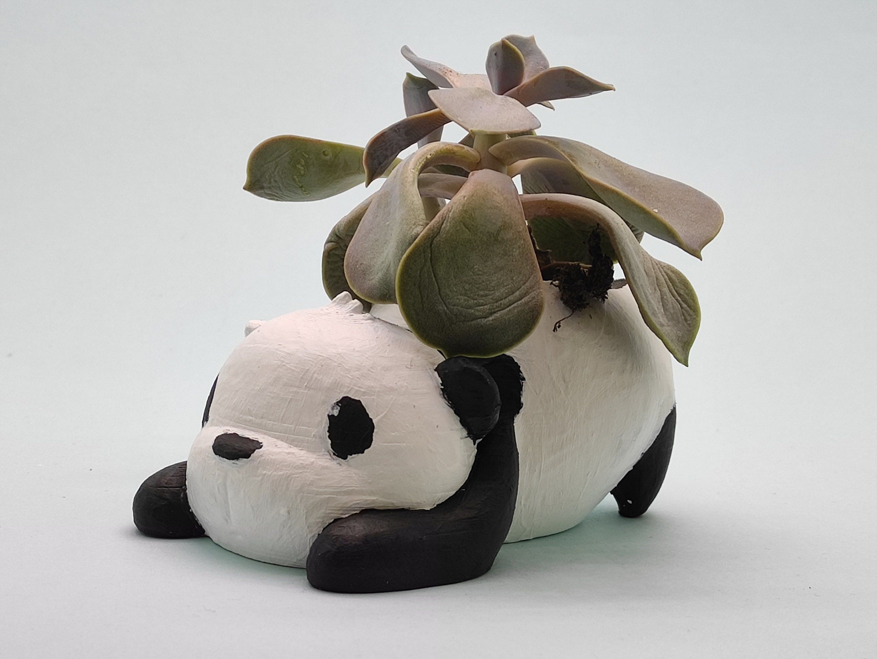 Decorative panda flowerpot / white cycad flower pot planter Etsy