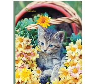 Kitten Composition Notebook: Wide Ruled, 120 Pages