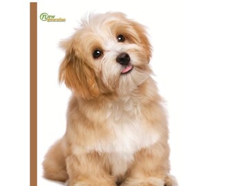 Puppy Composition Notebook: Wide Ruled, 120 Pages