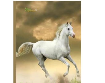 White Horse Composition Notebook: Wide Ruled, 120 Pages
