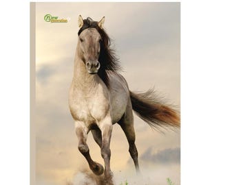 Horse Composition Notebook: Wide Ruled Journal for School