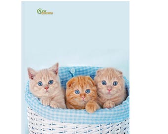 Kitten Composition Notebook: Wide Ruled, 120 Pages