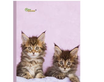 Kitten Composition Notebook: Wide Ruled, 120 Pages
