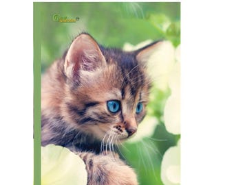 Kitten Composition Notebook: Wide Ruled, 120 Pages