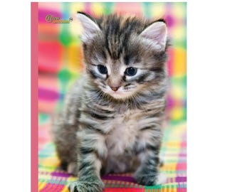 Kitten Composition Notebook: Wide Ruled, 120 Pages (7.5 x 9.25 In)