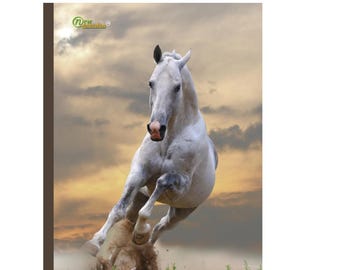 White Horse Composition Notebook: Wide Ruled, 120 Pages
