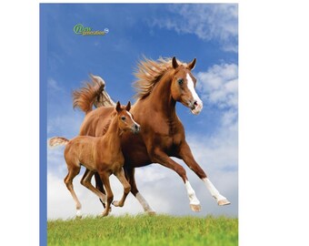 Horses Composition Notebook: Wide Ruled, 120 Pages