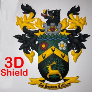 Personalised & Researched Actual 3D Coat of Arms / Family Name Crest /  Blazon, in high detail. We can use a design you all ready own.