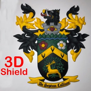 Personalised 3D Coat of Arms, Family Name Crest and History Origin (High Detail) Blazon