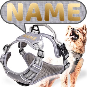 ne&no dog harness PERSONALIZED with matching shock absorbers [Developed by NENO] - dog harness with name