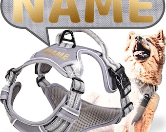 ne&no dog harness PERSONALIZED with matching shock absorbers [Developed by NENO] - dog harness with name
