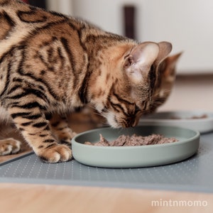 Custom 3D Printed Pet Bowl With Name Multiple Sizes Food 