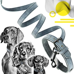 Color & Gray - Sicherheitsgurt Adapter für Hunde von 10 bis 25 kg - s,  13,30 €