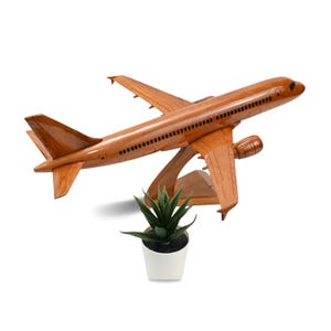 May include: A wooden airplane model with a natural wood finish, mounted on a wooden stand. The model features detailed wings, tail, and engine components. A small potted succulent plant in a white pot is placed below the airplane.