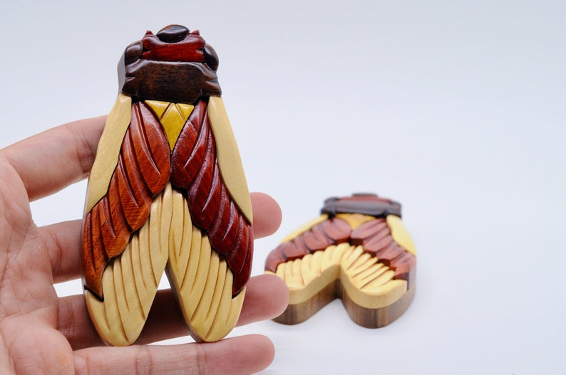 Puede incluir: Dos cajas de rompecabezas de madera de cigarra talladas intrincadamente. Las cajas est&aacute;n hechas de diferentes tonos de madera, incluyendo marr&oacute;n, rojo y amarillo. Las cajas est&aacute;n cerradas y tienen un dise&ntilde;o de cigarra realista y detallado.
