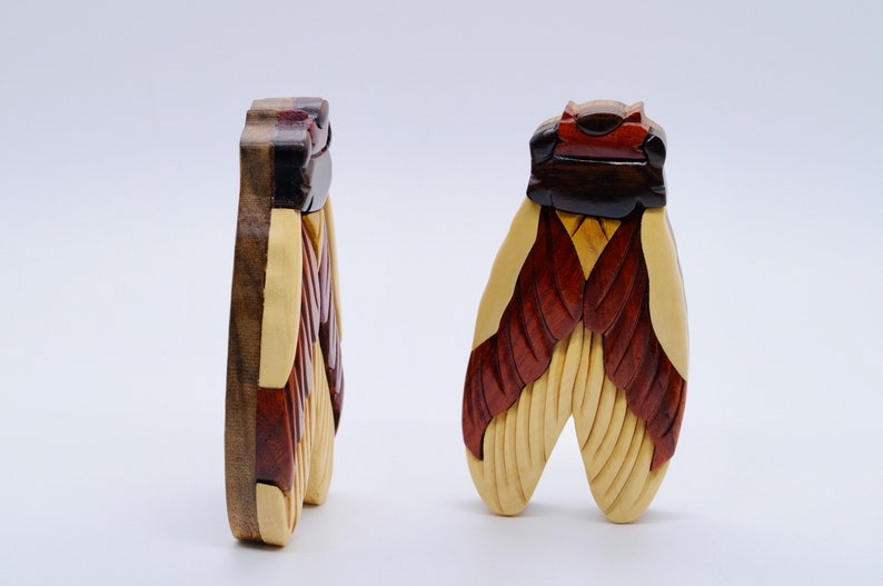 Puede incluir: Una caja de rompecabezas de madera con forma de cigarra. La caja est&aacute; hecha de diferentes tipos de madera, incluyendo nogal, arce y cerezo. La caja est&aacute; cerrada y los detalles de las alas de la cigarra son visibles.