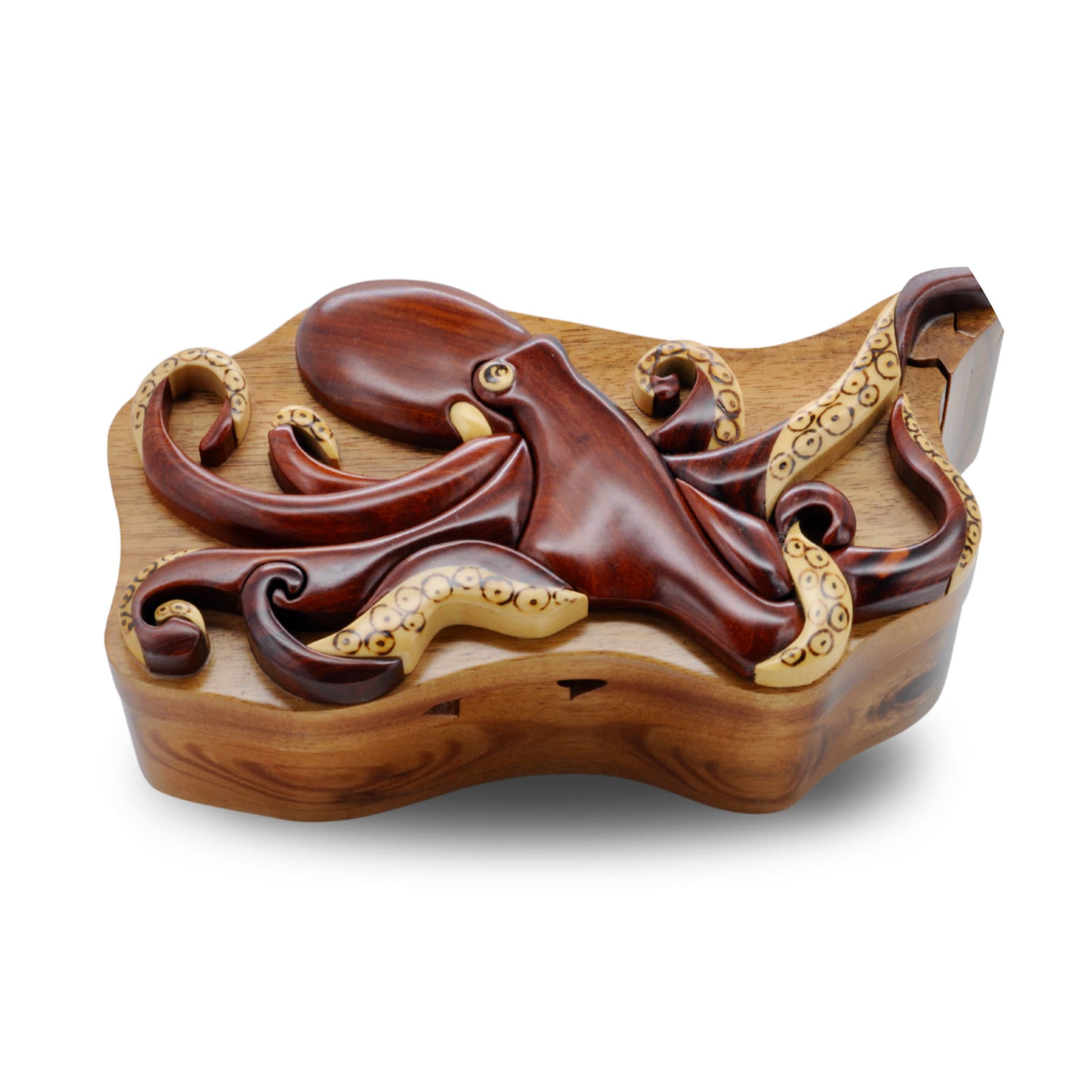 Octopus plate - Etsy België, image size:2025x2025