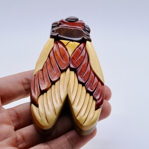 Puede incluir: Una caja de rompecabezas de madera con forma de cigarra con detalles intrincados. Las alas est&aacute;n hechas de madera de diferentes colores, incluyendo rojo, marr&oacute;n y amarillo.