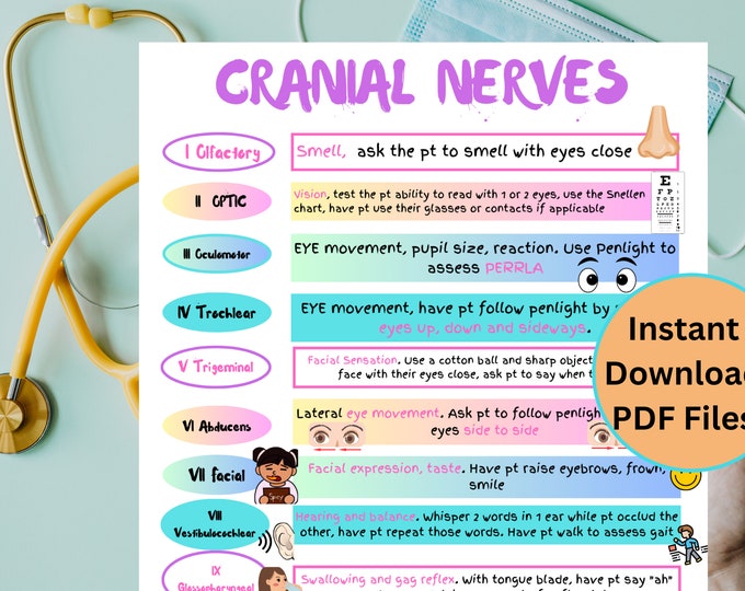 Cranial Nerves & Functions Worksheet Template-student Nurse Review ...