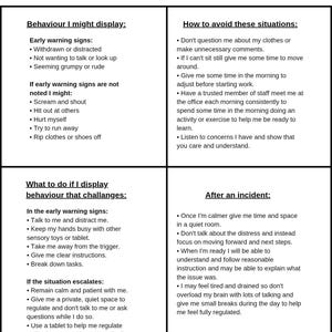 Customisable Behaviour Support Plan | SEN Child Profile | Printable Triggers, Needs & Strategies Sheet for School/Home Use