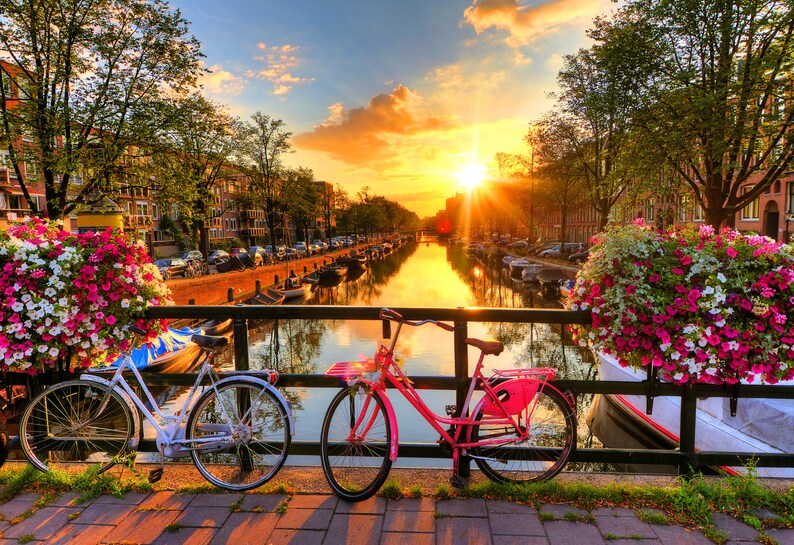 May include: Two bicycles parked on a bridge over a canal in Amsterdam, Netherlands. The bicycles are pink and white, and the canal is lined with buildings and trees. The sun is setting in the background, casting a golden glow over the scene.