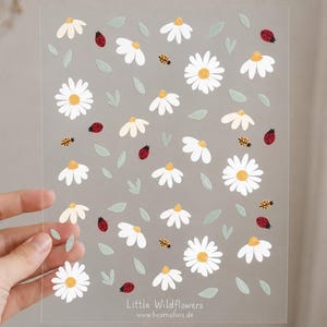 Könnte beinhalten: Ein transparenter Stickerbogen mit einem wiederkehrenden Muster aus weißen Gänseblümchen mit gelben Mitten, kleinen hellgrünen Blättern, roten und orangefarbenen Marienkäfern. Der Text "Little Wildflowers" und "www.bearnature.de" steht unten.