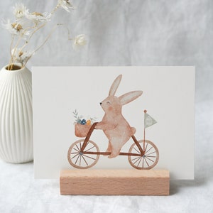 fahrrad Hase