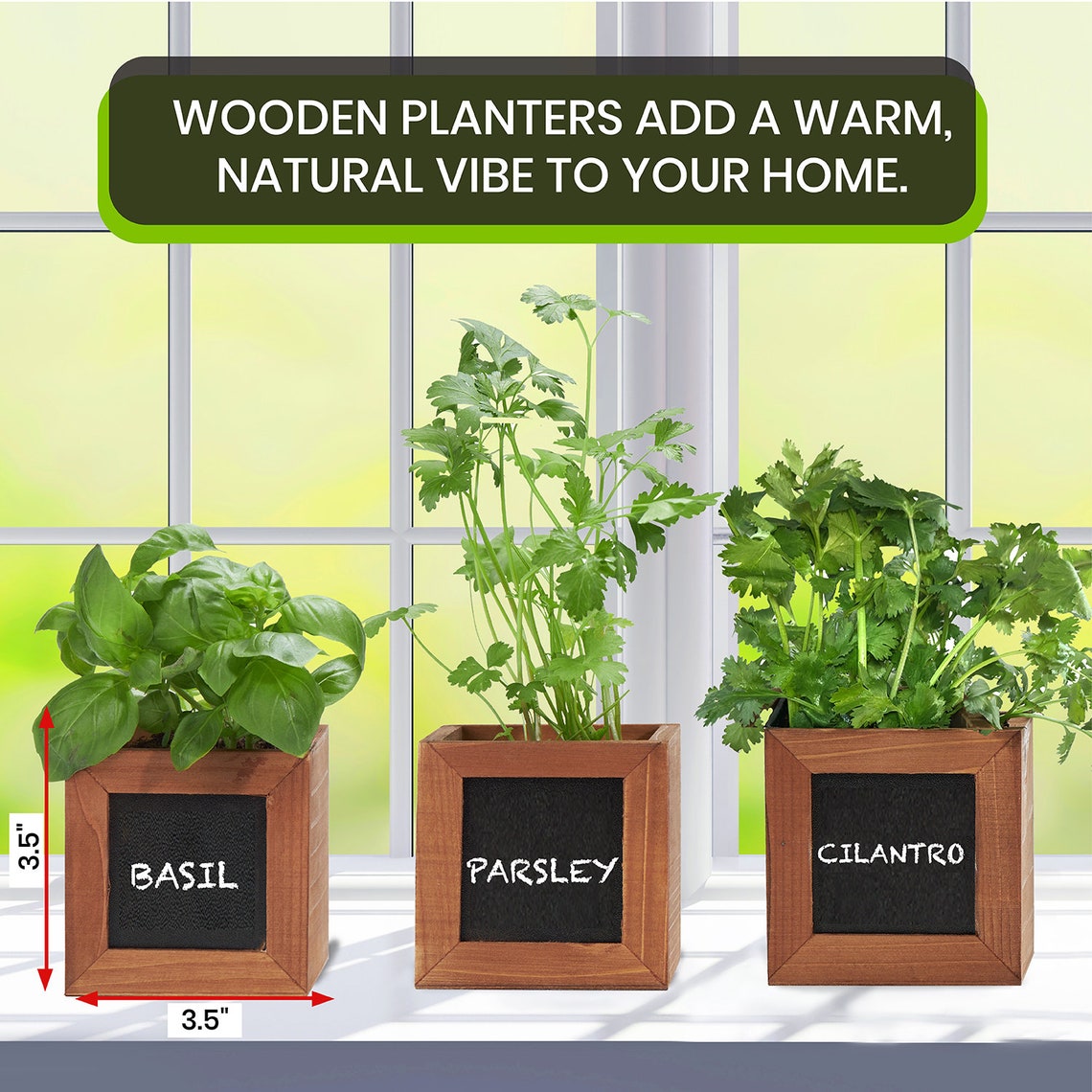 Herb Garden Kit Indoor Herb Garden Kit Gardening Gift Etsy UK