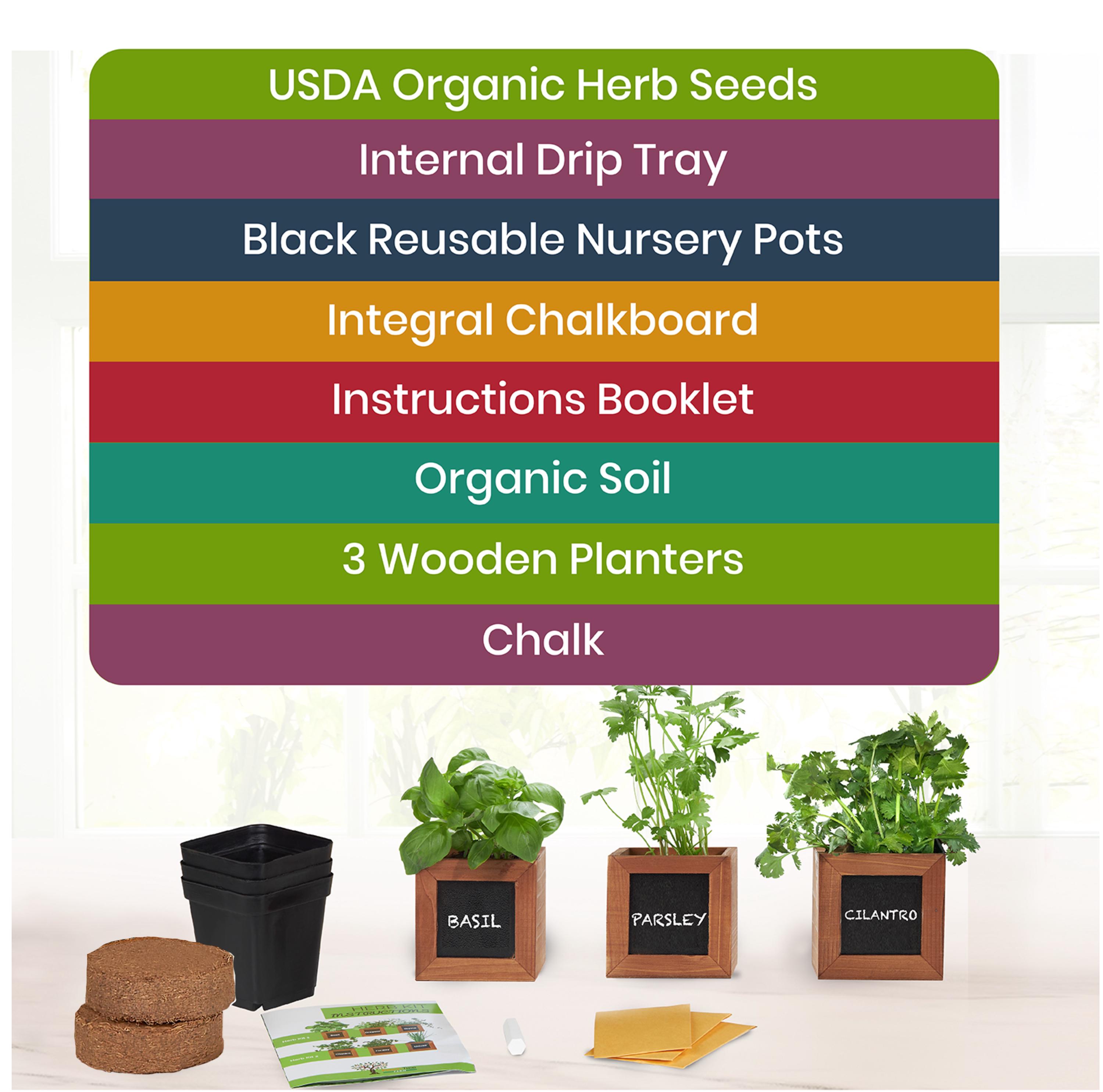 Herb Gardening Starter Kit For Indoors - Unique Gift For Mom, Women