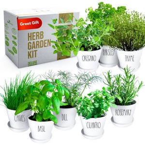May include: A set of nine potted herbs, including oregano, parsley, thyme, rosemary, chives, dill, cilantro, and basil. The pots are white with black lettering and the herbs are arranged in a semi-circle on a white background. The box in the background reads "Great Gift Herb Garden Kit Deluxe".