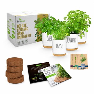Ceramic Indoor Herb Kit 4 Set. Variety Herbs for Indoor & Outdoor – Get Growing with Pots, Potting Soil for Window Herb Garden.