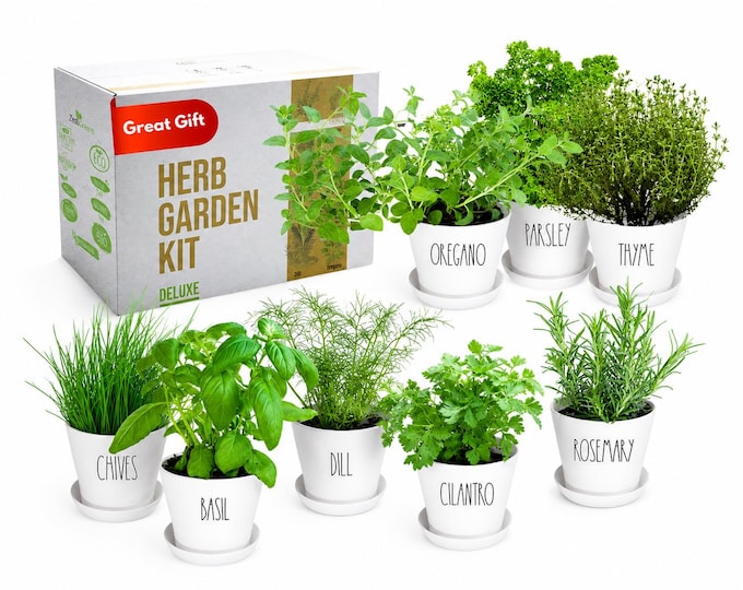 8 Set of Herbs Growing Kit