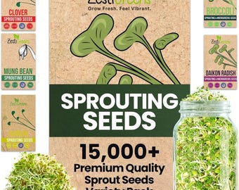 ZestiGreens Sprouting Seed Sampler – 5 Varieties (11g): Broccoli, Alfalfa, Mung, Clover & Daikon | High Germination for Jars/Trays
