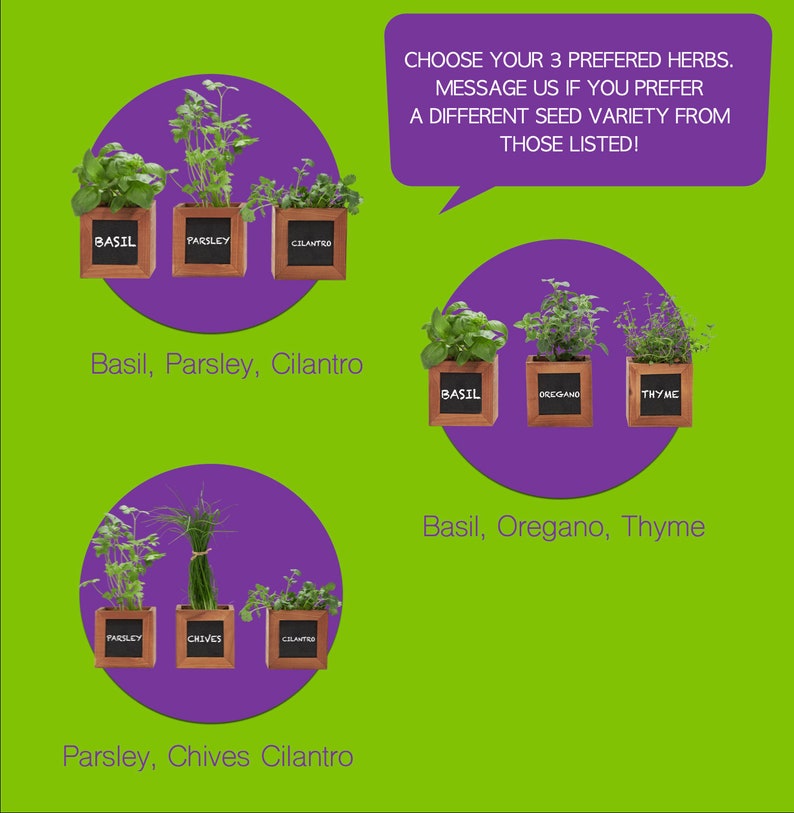 Herb Garden Kit Indoor Herb Garden Kit Gardening Gift Etsy UK