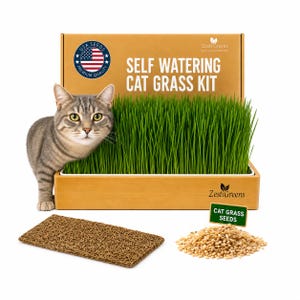 Self-Watering Cat Grass Kit. Hands Down The Easiest Way to Grow Cat Grass. Everything Included to Grow a Large Crop of Delicious Cat Grass.