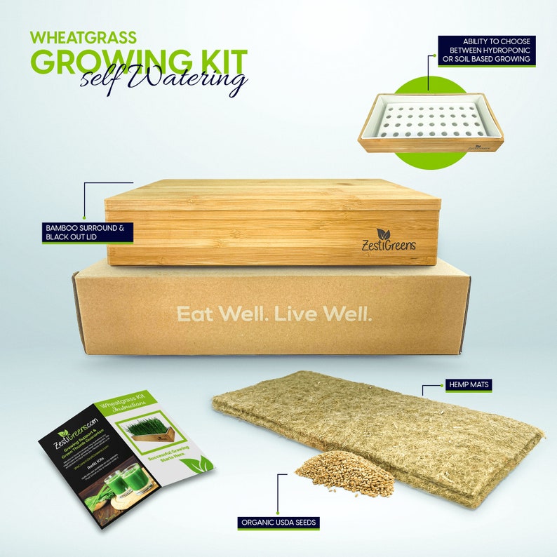 Organic Wheatgrass Growing Kit Self Watering With Soilless Etsy
