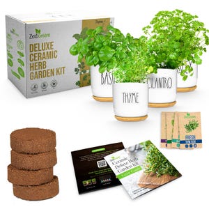 May include: A Deluxe Ceramic Herb Garden Kit with basil, thyme, and cilantro plants in white pots with wooden saucers. The kit includes seed packets, soil discs, and a grow guide. The box reads "ZestiGreens".