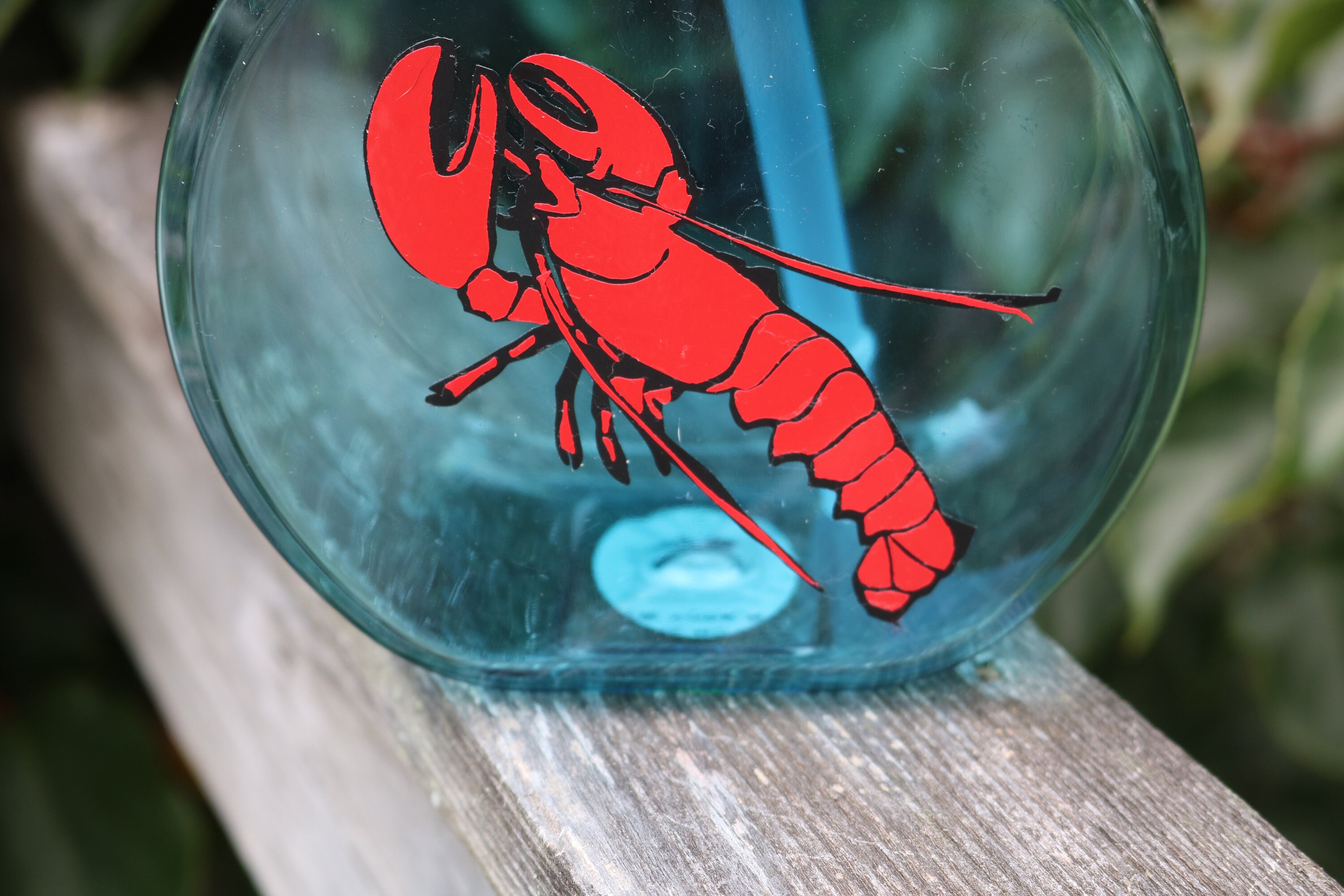 Reusable Lobster design on Fish Bowl Drink Cup with straw lid Etsy